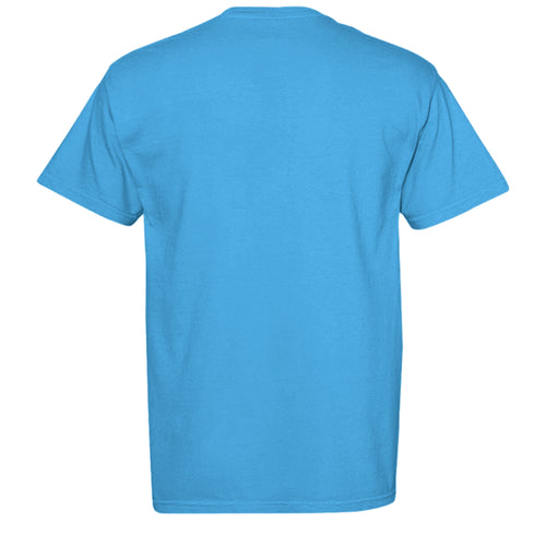 SAPPHIRE - C1717 - BACK